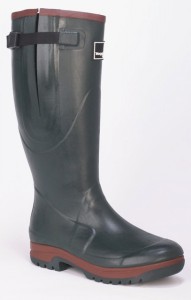 Wanderer Plus